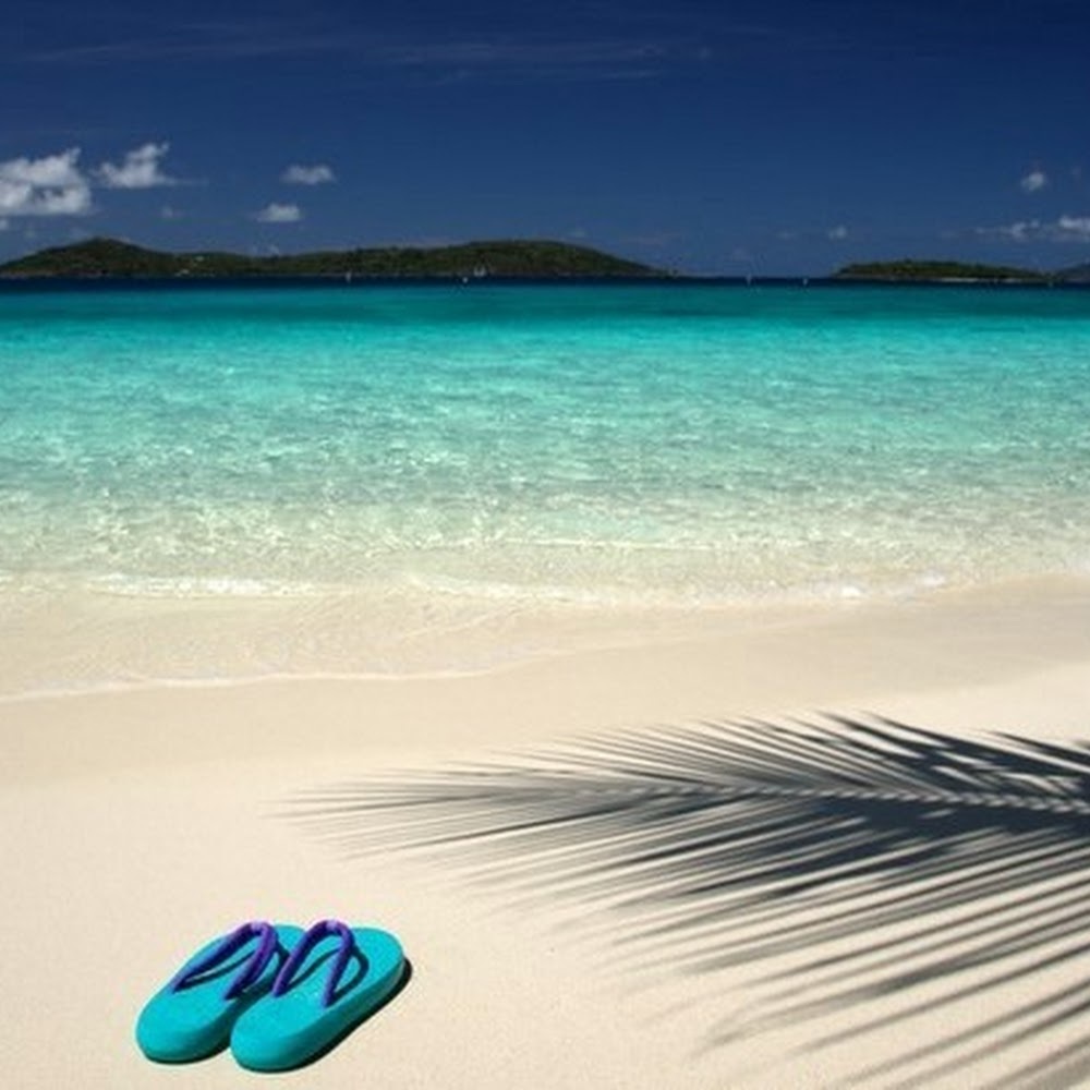 Meet your Posher, Regina