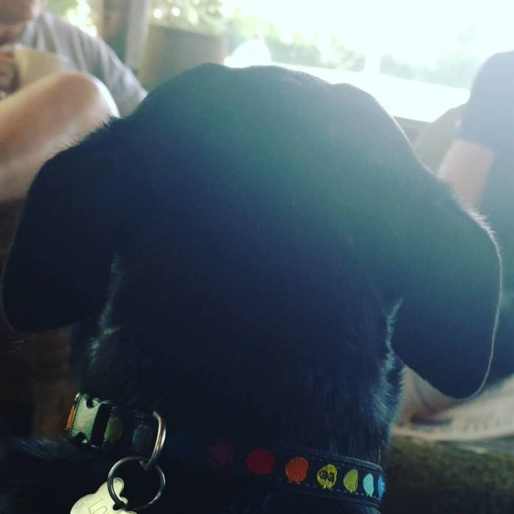 Meet your Posher, Serena