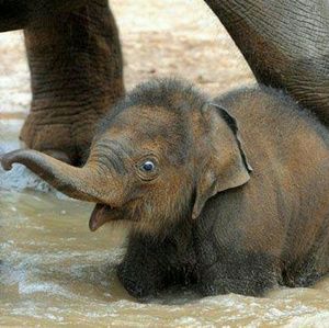 Meet your Posher, Brittney