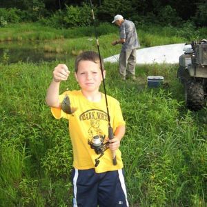 Meet your Posher, Wyatt