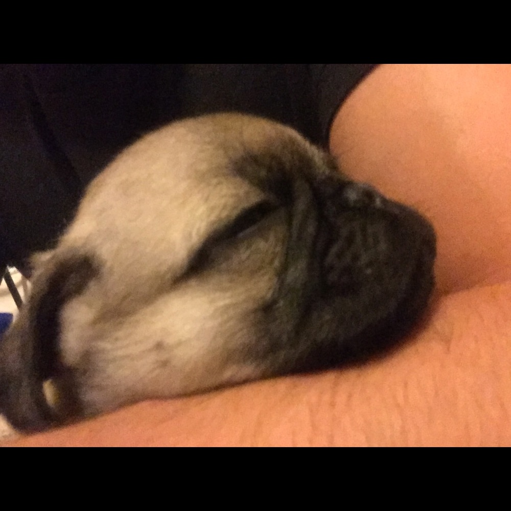 Meet your Posher, Charley