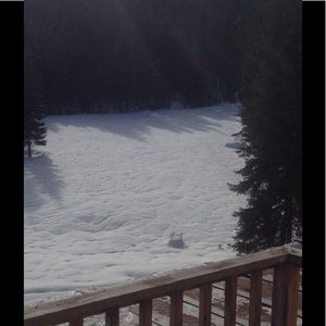 Meet your Posher, Holly