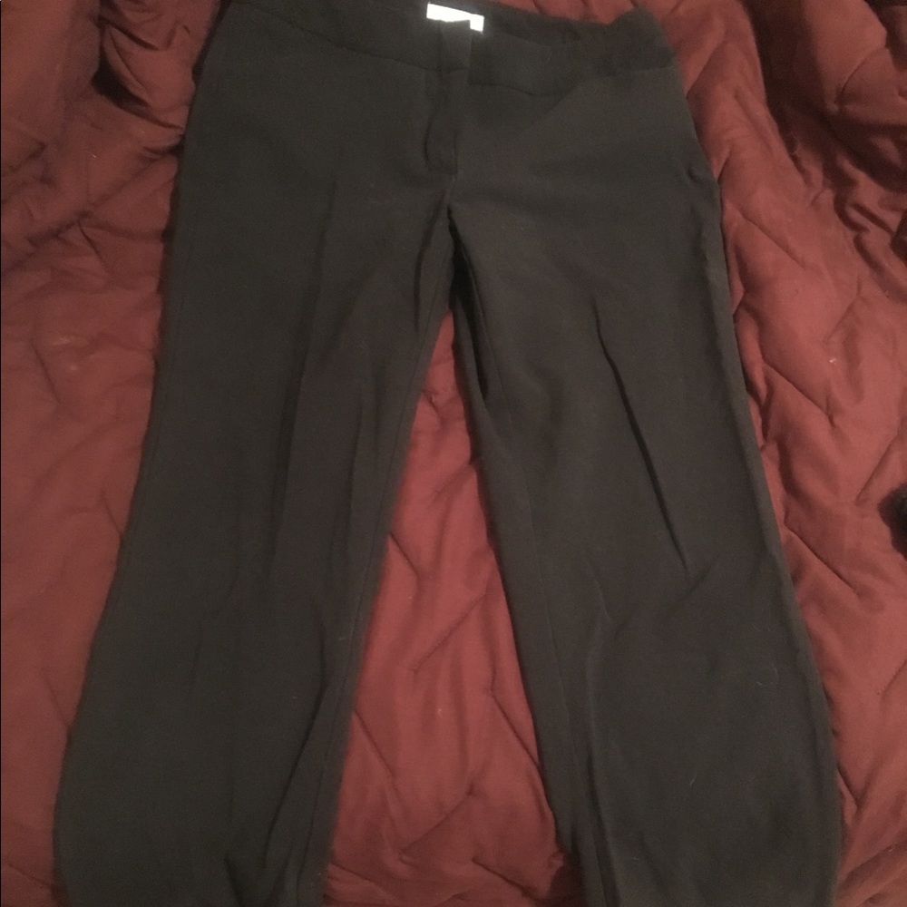 New York & Co pants