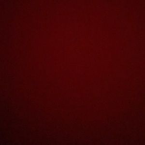 Meet your Posher, Bailee