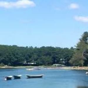 Meet your Posher, Lucy