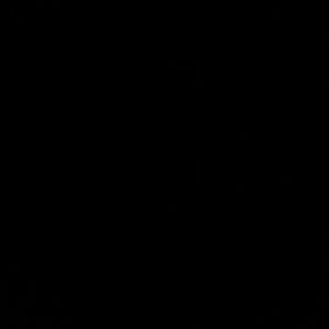 Meet your Posher, Ashton