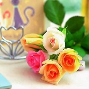 Meet your Posher, Ana