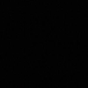 Meet your Posher, Whitney