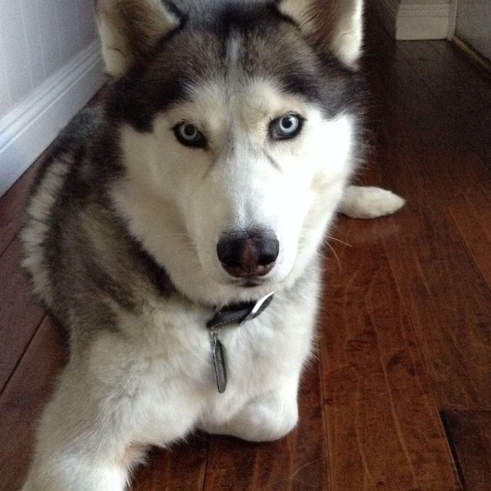 Meet your Posher, Caroline