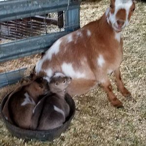 Meet your Posher, Randyandkathy