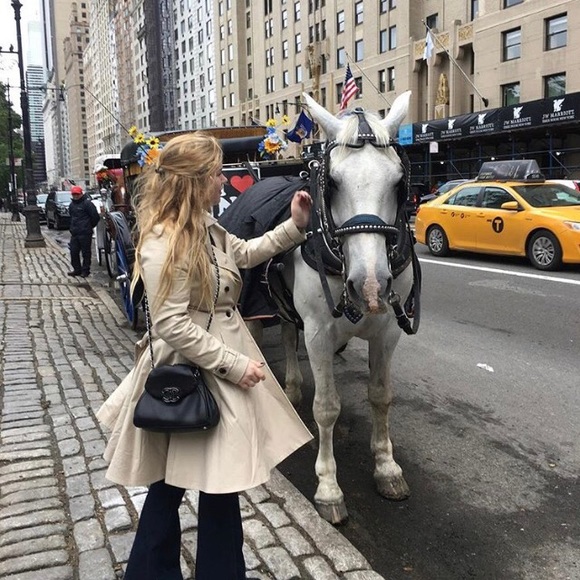 Meet your Posher, Alex - Picture 1 of 1