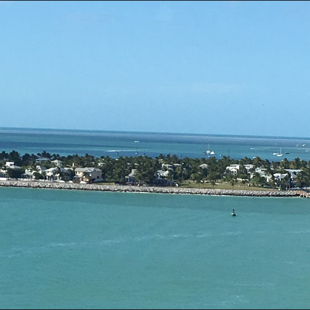 Meet your Posher, Synaca