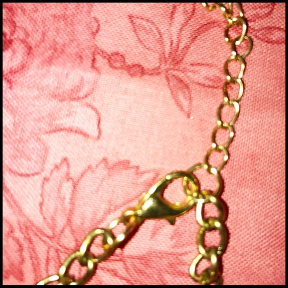 Gilded Fringe Necklace - Picture 6 of 7