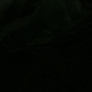 Meet your Posher, Jazmine