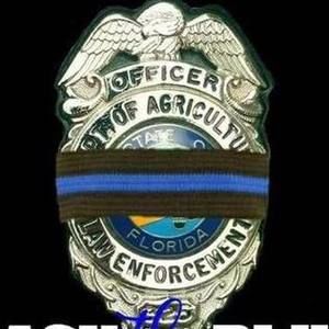 Meet your Posher, Melody