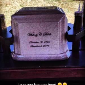 Meet your Posher, Roby