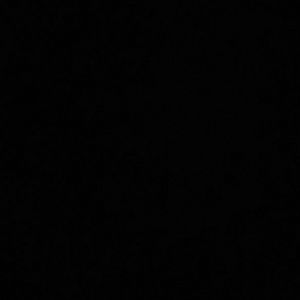 Meet your Posher, Ginita