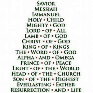 Meet your Posher, Tonya