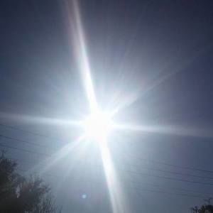 Meet your Posher, Terrie