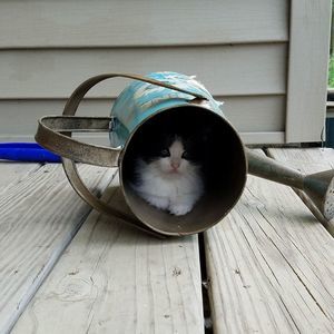 Meet your Posher, Lori