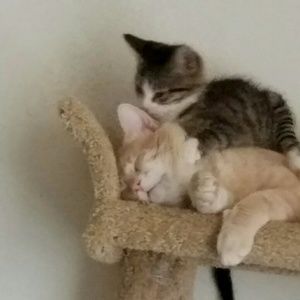 Meet your Posher, Jerri