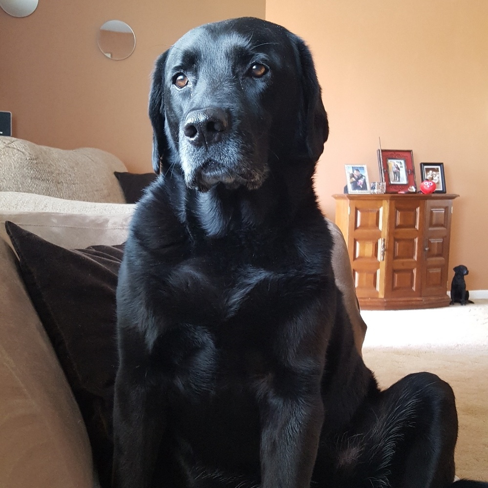 Meet your Posher, Kristen Marie