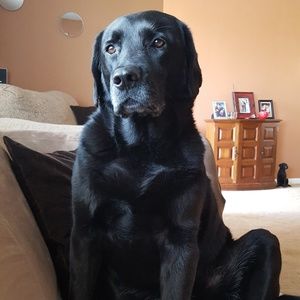 Meet your Posher, Kristen Marie