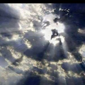 Meet your Posher, George