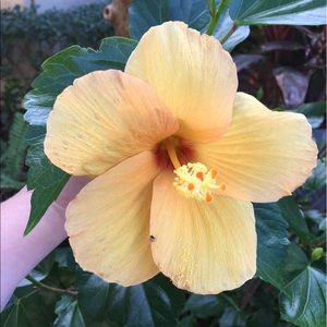 Meet your Posher, Vicky