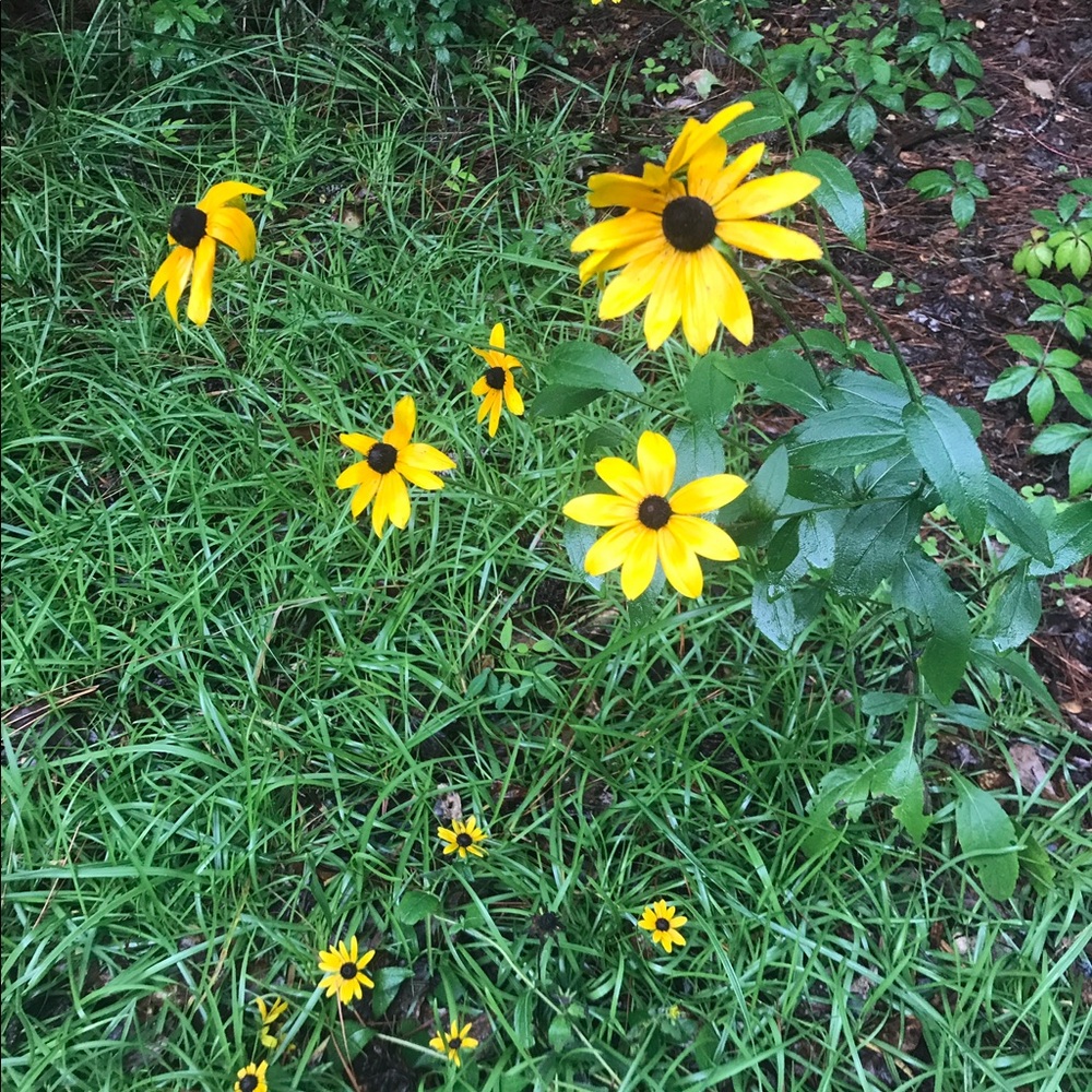 Meet your Posher, Mary