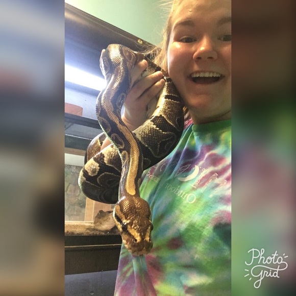 Meet your Posher, Riley - Picture 1 of 1