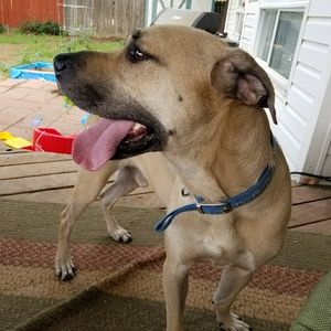 Meet your Posher, Brittany