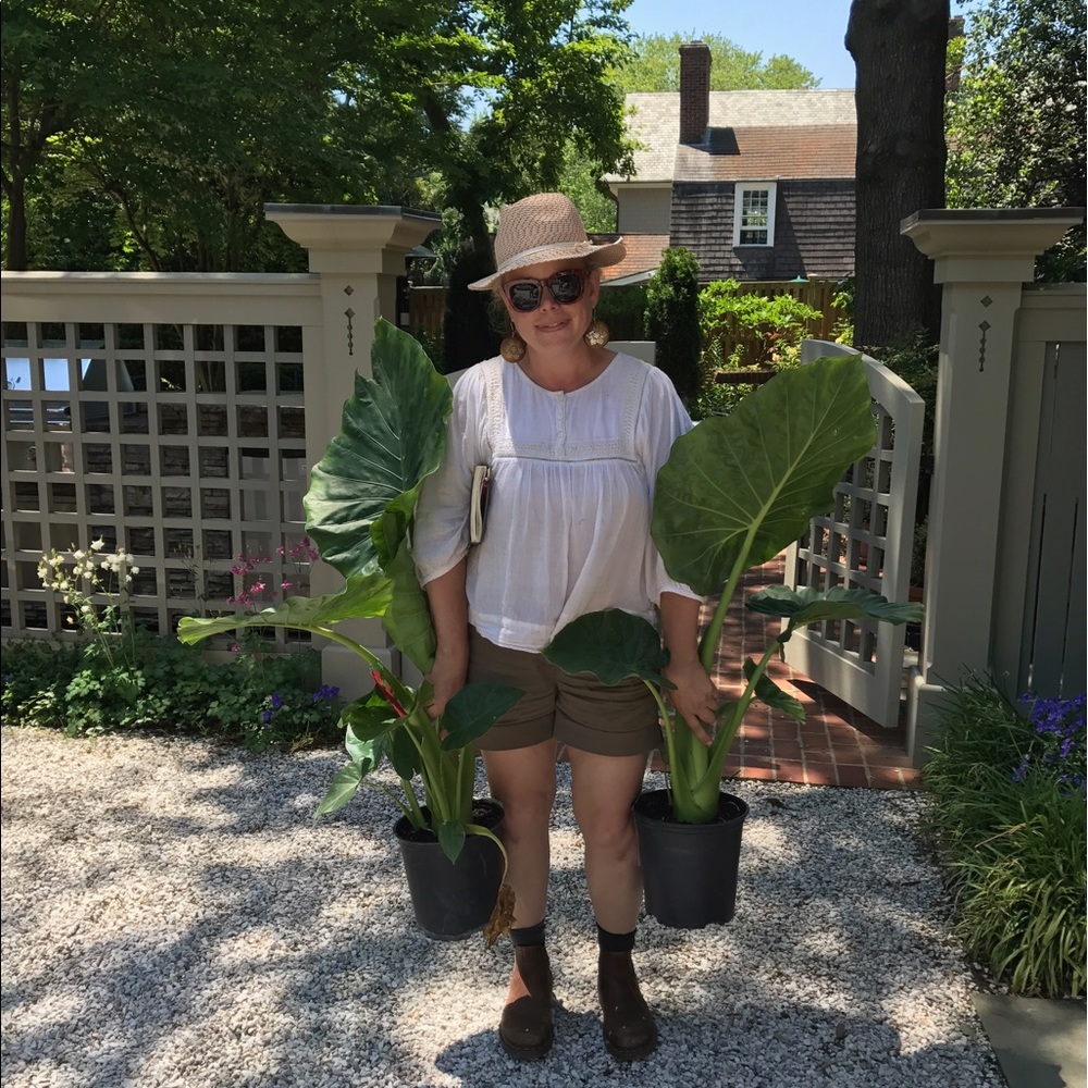 Meet your Posher, Kara