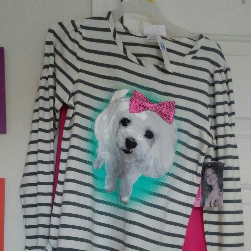 Flapdoodles outfit dog size 10-12 girls large new