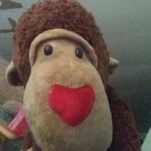 Meet your Posher, Montana