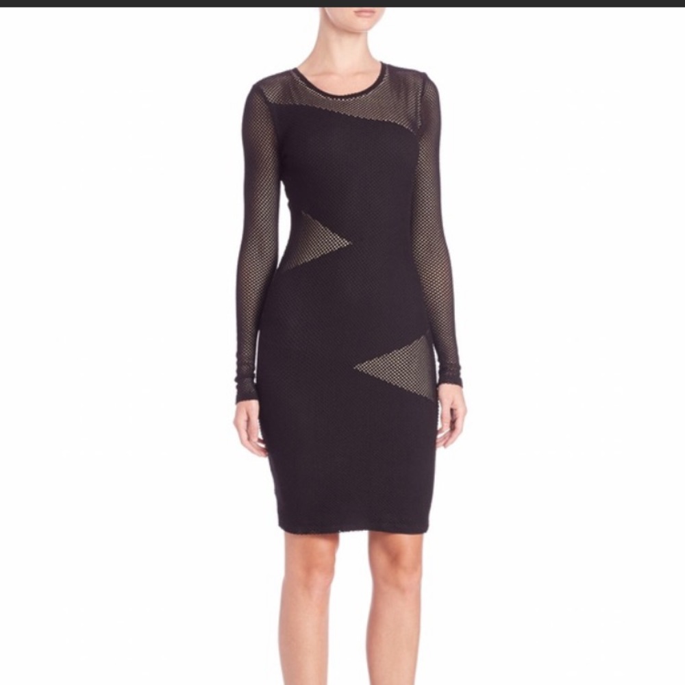 BCBG Mesh Dress