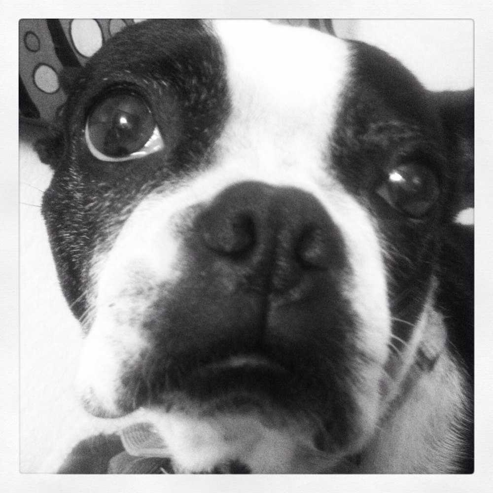 Meet your Posher, Lynda