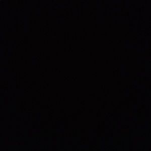 Meet your Posher, Bobby