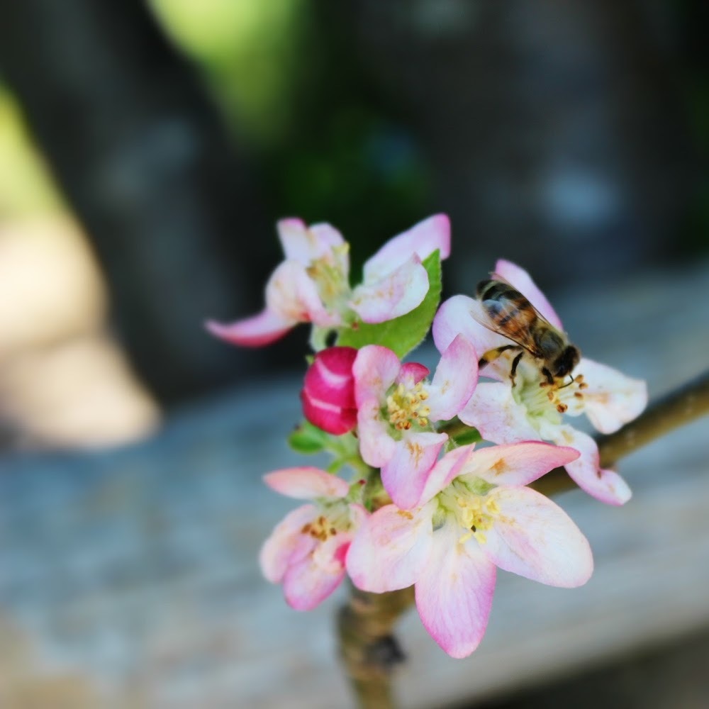 Meet your Posher, Kelly