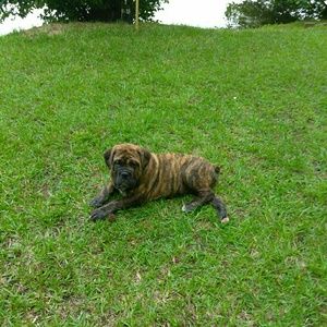 Meet your Posher, Martin