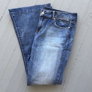 AE Modern Flare Stretch Size 16 Jeans