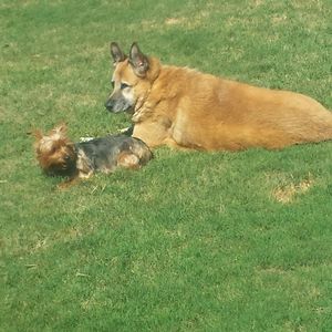 Meet your Posher, Rebecca