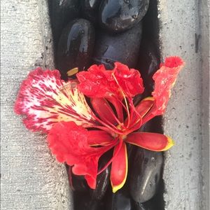 Meet your Posher, Milly