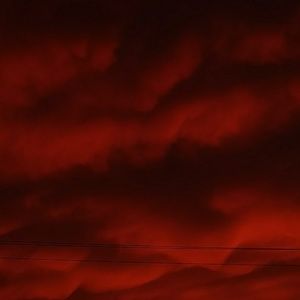 Meet your Posher, Kory