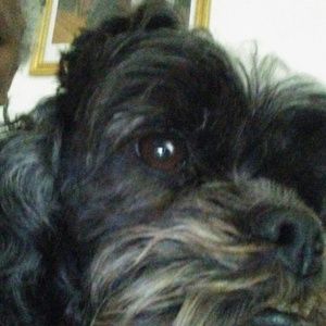 Meet your Posher, Vicki