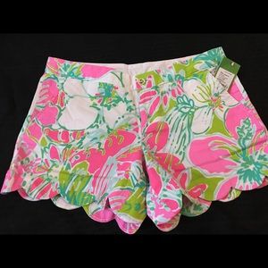 NWT Lilly Pulitzer Buttercup Shorts Sz 8