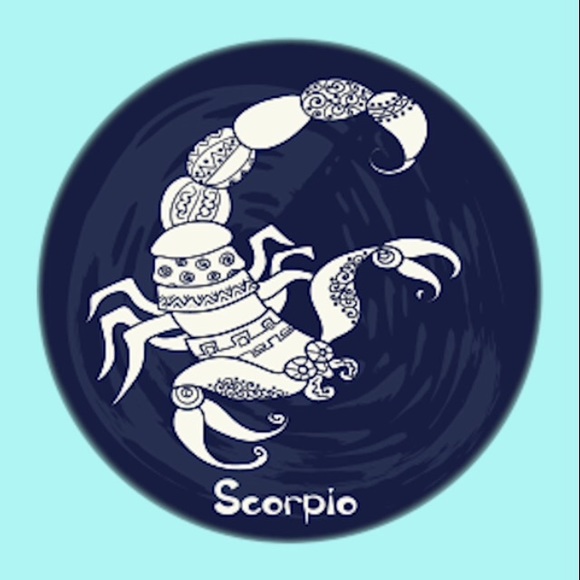 Meet your Posher, Savannah - Picture 1 of 1