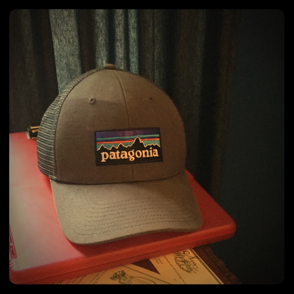 Patagonia Truckers Hat