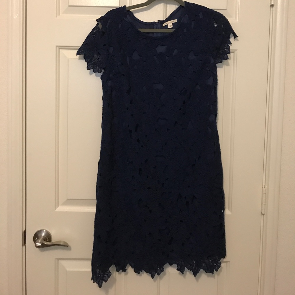 Francesca's Lace Dress