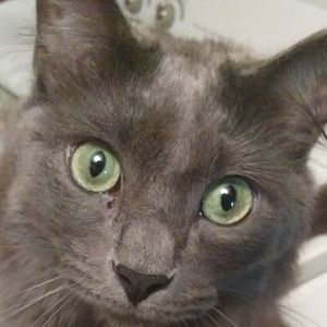 Meet your Posher, Mary